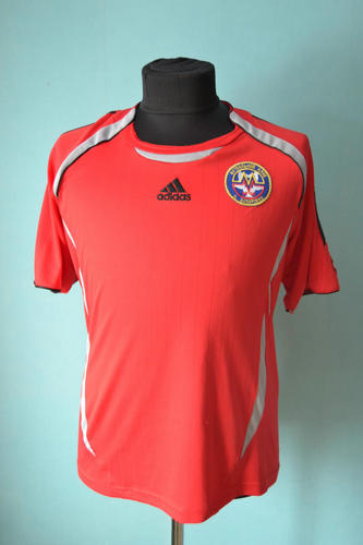 Camiseta Irlanda Del Norte Primera Equipación 2006-2008 Personalizados